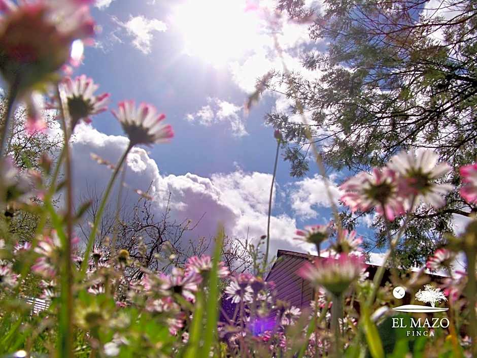 Albergue Finca El Mazo