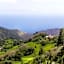 Mantis St Helena