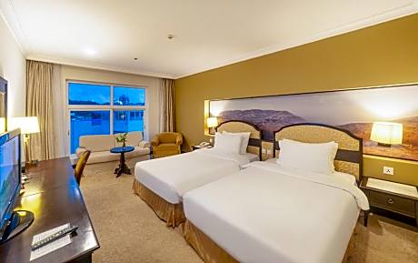 Deluxe Double or Twin Room with City View