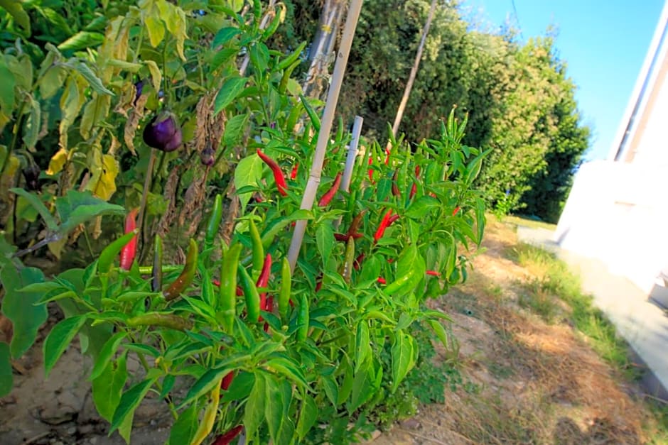 B&B Dimora ROSSIPINTI