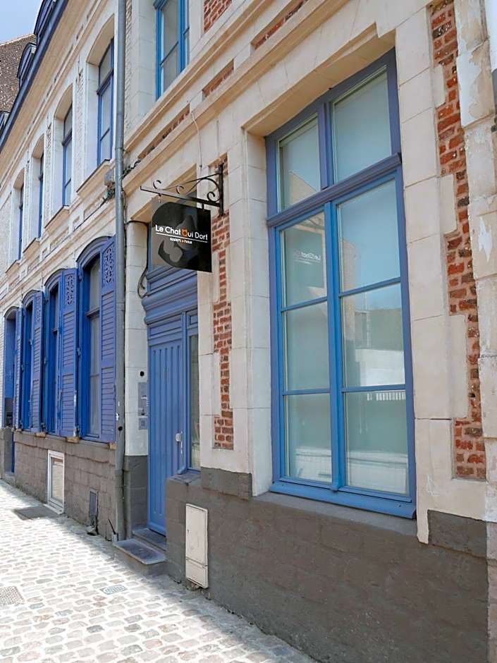 Au Chat Qui Dort Lille - Magasin