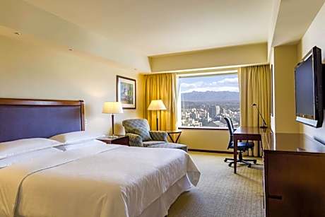 Guest room, 1 King, City view