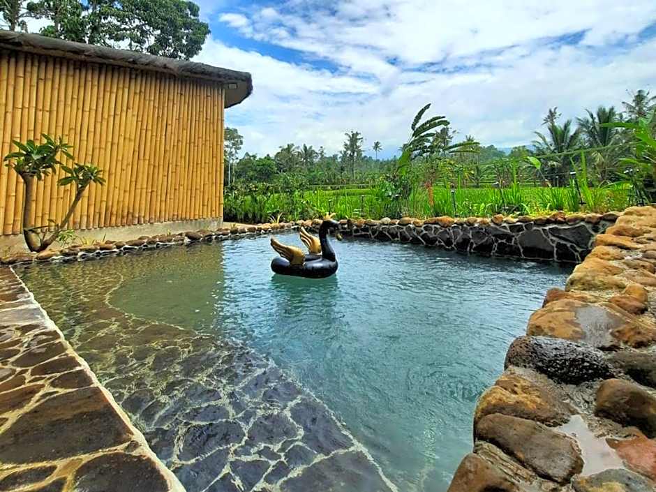 Sawah Ijen
