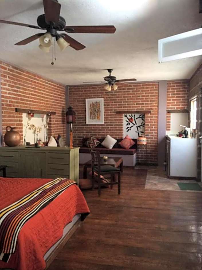 Suites colibri