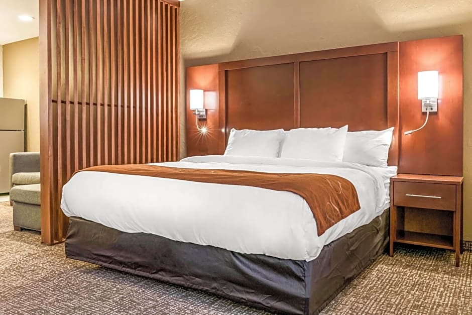 Comfort Suites Florence - Cincinnati South
