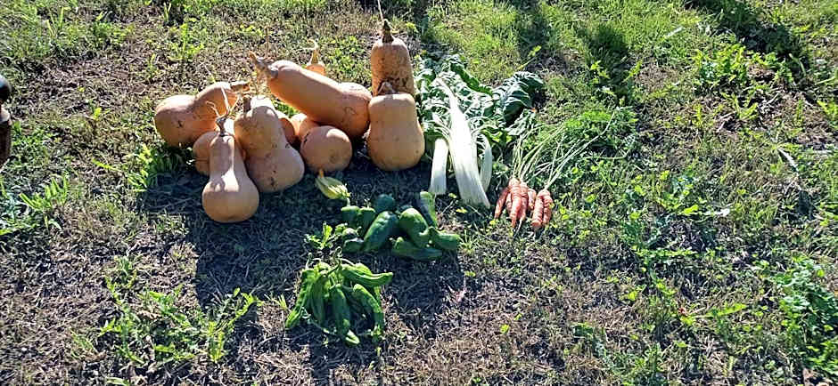 Albergue Olasenea Aterpea