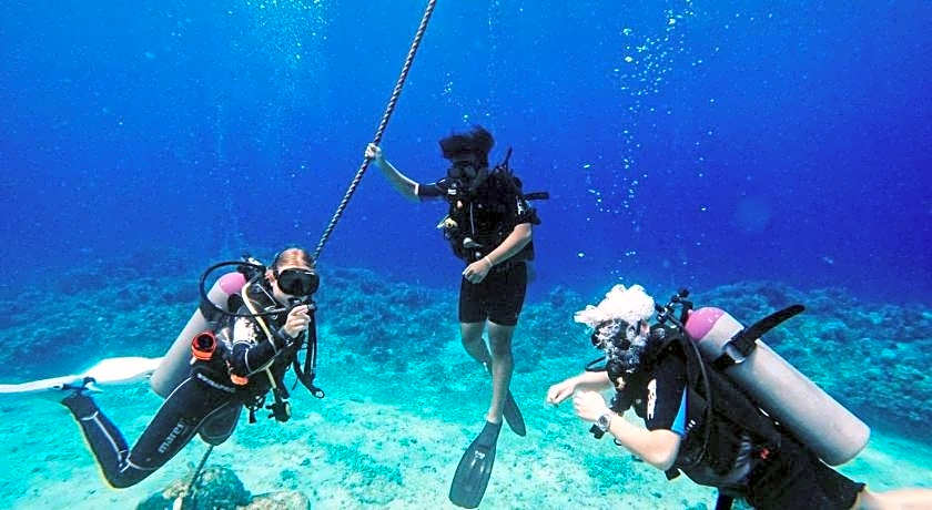 Diversia Diving Club and Bungalows