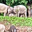 Borneo Jungle Adventure