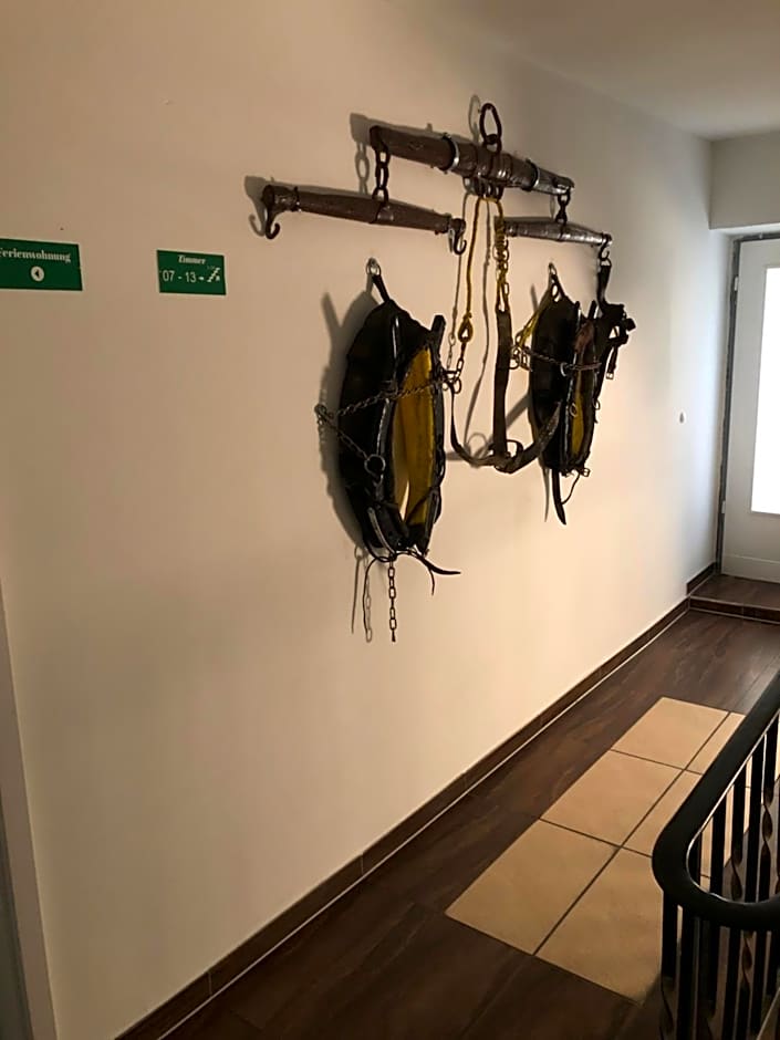 Hotel Einstein