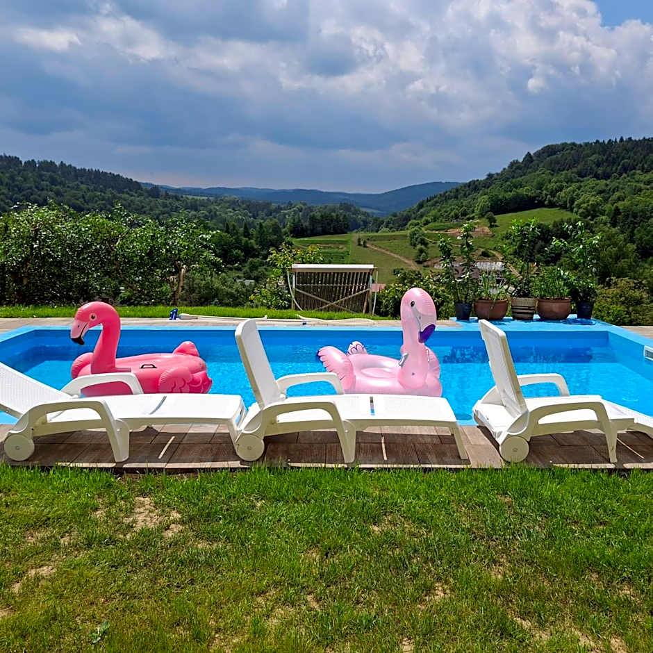 Domki i apartamenty nad jeziorem solińskim z basenem I widokiem na góry