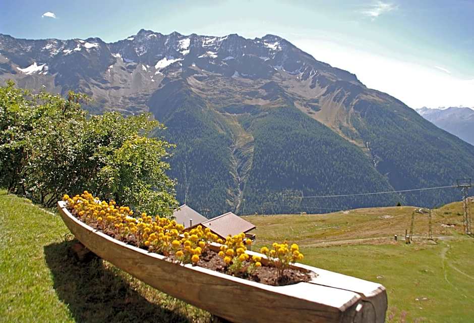 Alpenhotel zur Wildi Lauchernalp