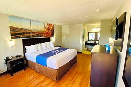 1 King Bed Studio Suite Smoking