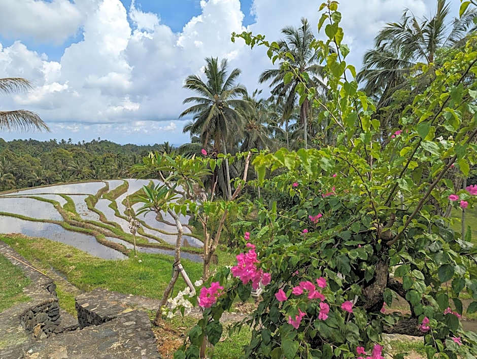 Puri Dajuma Terrace Eco Lodge & Spa
