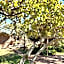 Milorho Lodge