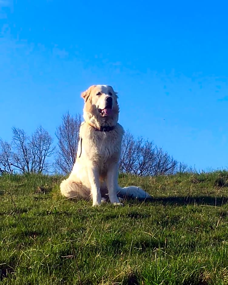 Domaine du Val de Soux