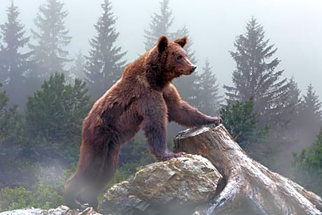 OMEO Suites Big Bear