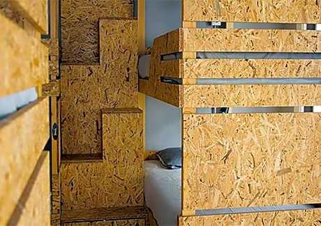 Bunk Bed in Mixed Dormitory Room