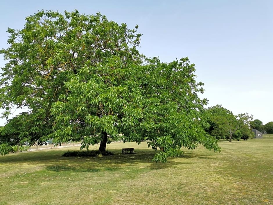 L'Ancienne Distillerie