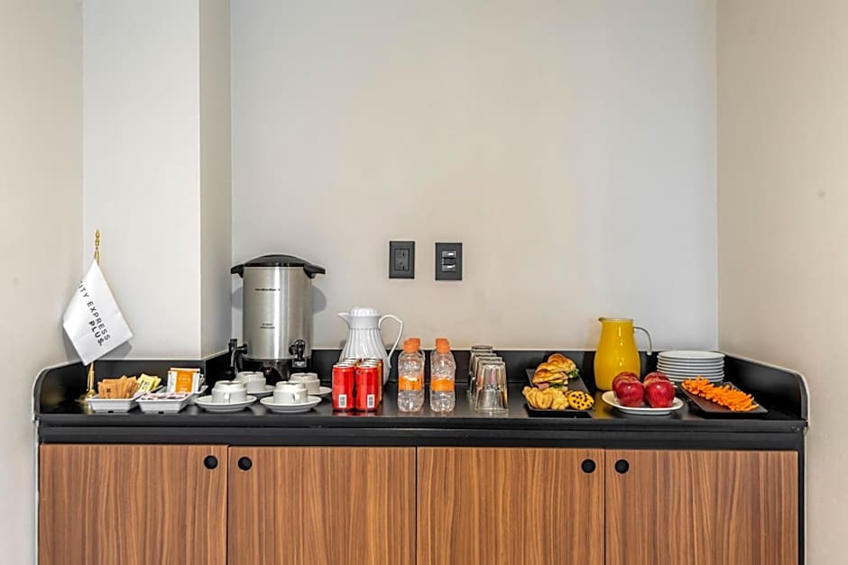 City Express Plus by Marriott Guadalajara Palomar