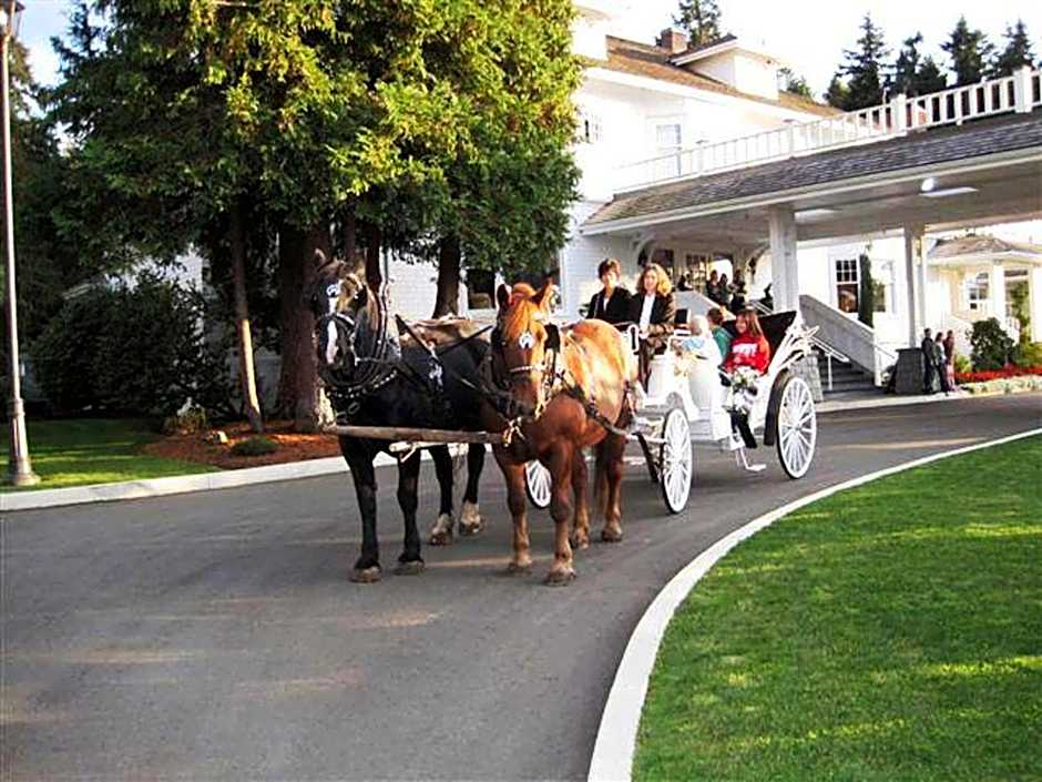 Crown Mansion Boutique Hotel & Villas