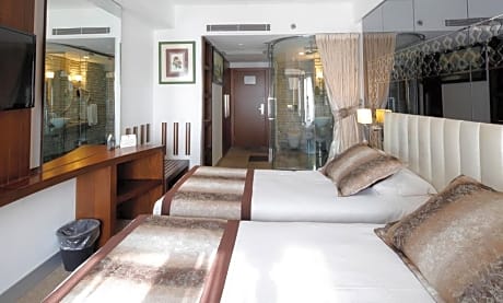 Double Room with Extra Bed