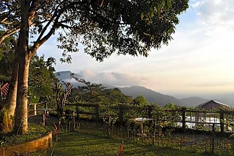 Finca San Antonio