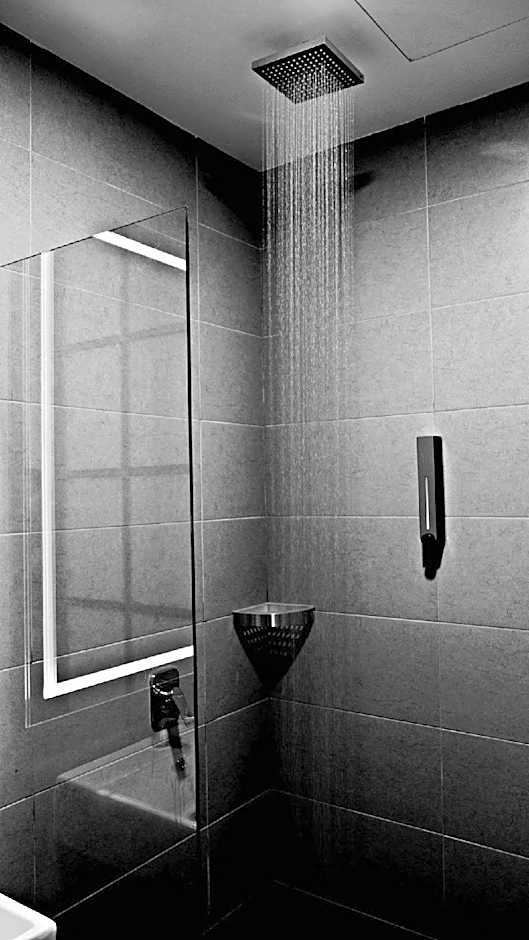 Roomies Suites