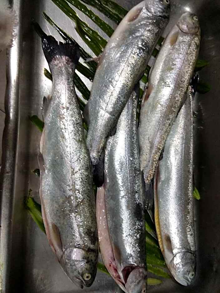 Roots Hotel and Wine Bar