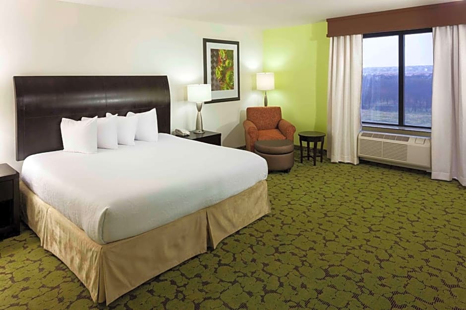 Hilton Garden Inn Dallas Lewisville