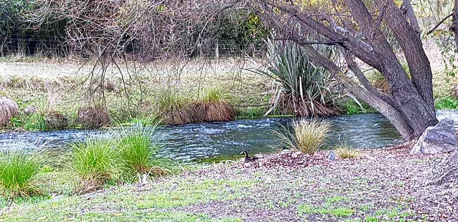 Spring Creek Holiday Park