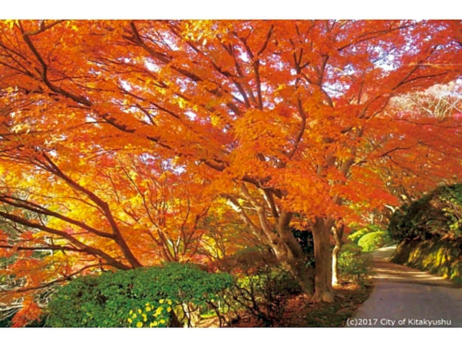 Kokura Recent Hotel - Vacation STAY 61113v