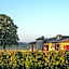 Château Sigalas Rabaud