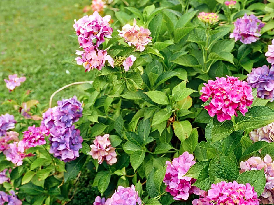 Hotel Magdalena Mayrhofen