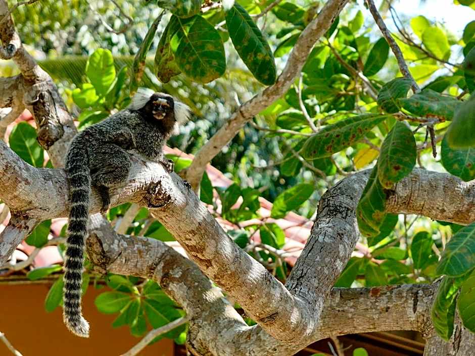 Pousada Portal do Vento