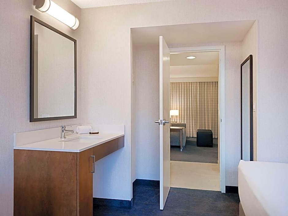 Embassy Suites By Hilton Hotel Chicago Downtown