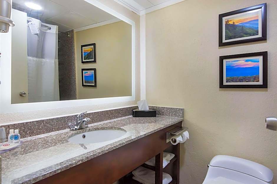 Comfort Inn Kings Mountain