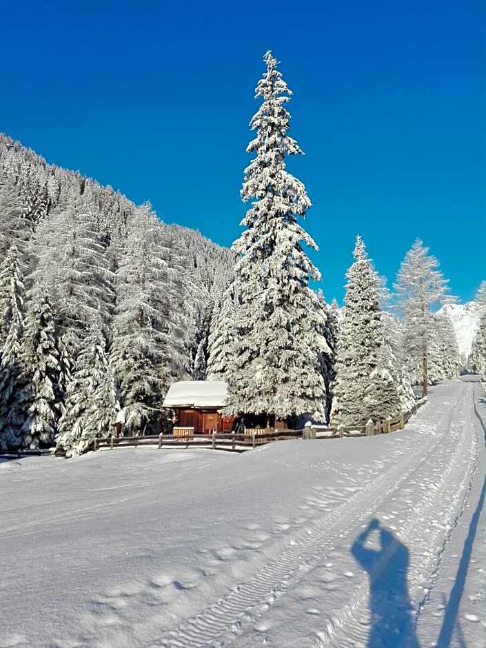 Bed & Breakfast Dolomiti Bey Haus Pinter