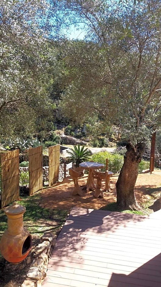 L'oliveraie du Fango