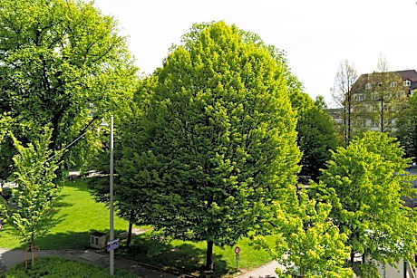 Corner Junior Suite with 1 Kingsize-bed, Park view