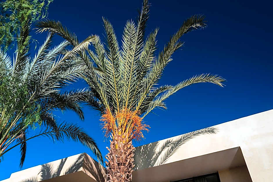 Sirayane Boutique Hotel & Spa Marrakech