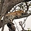 Bush Villas on Kruger