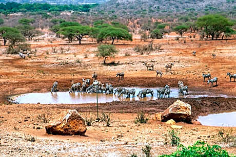 Kilaguni Serena Safari Lodge