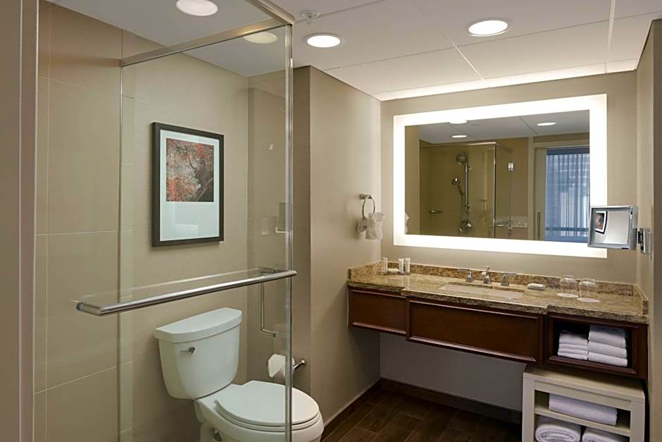 Houston Marriott Medical Center/Museum District