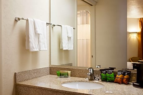 One Queen Bed Nonsmoking