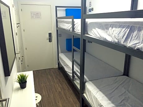 Bed in 6-Bed Mixed Dormitory Room with Shared Internal Bathroom 