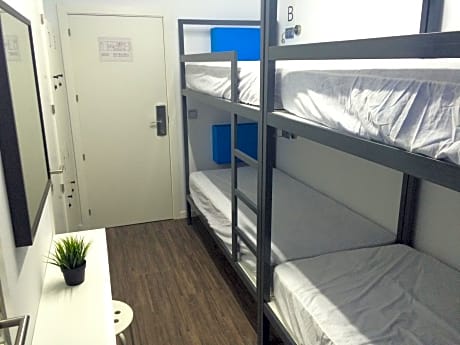 Bed in 6-Bed Mixed Dormitory Room with Shared Internal Bathroom