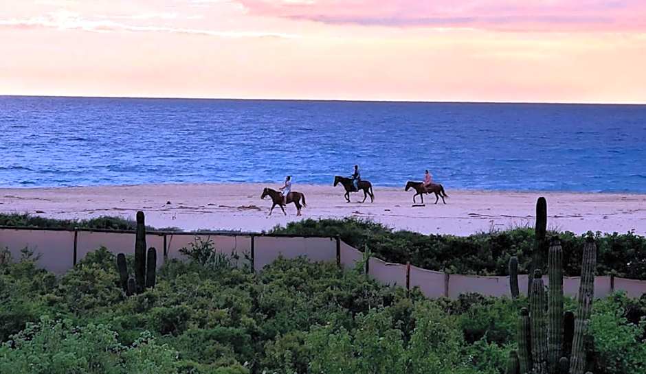 Kimpton Mas Olas Resort and Spa By IHG