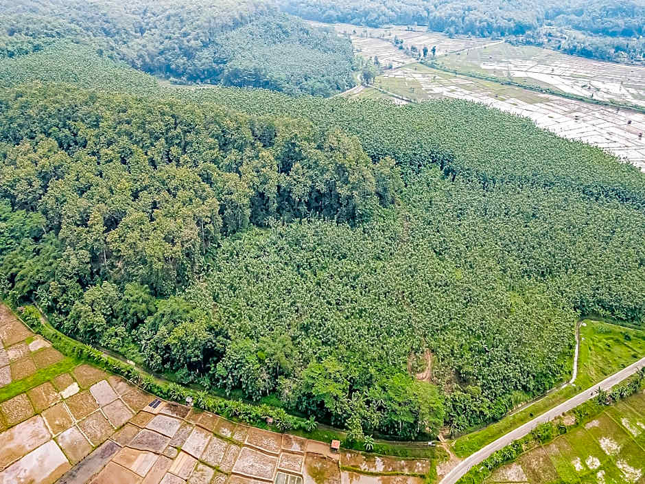 OYO Homes 91114 Desa Wisata Bangunharja