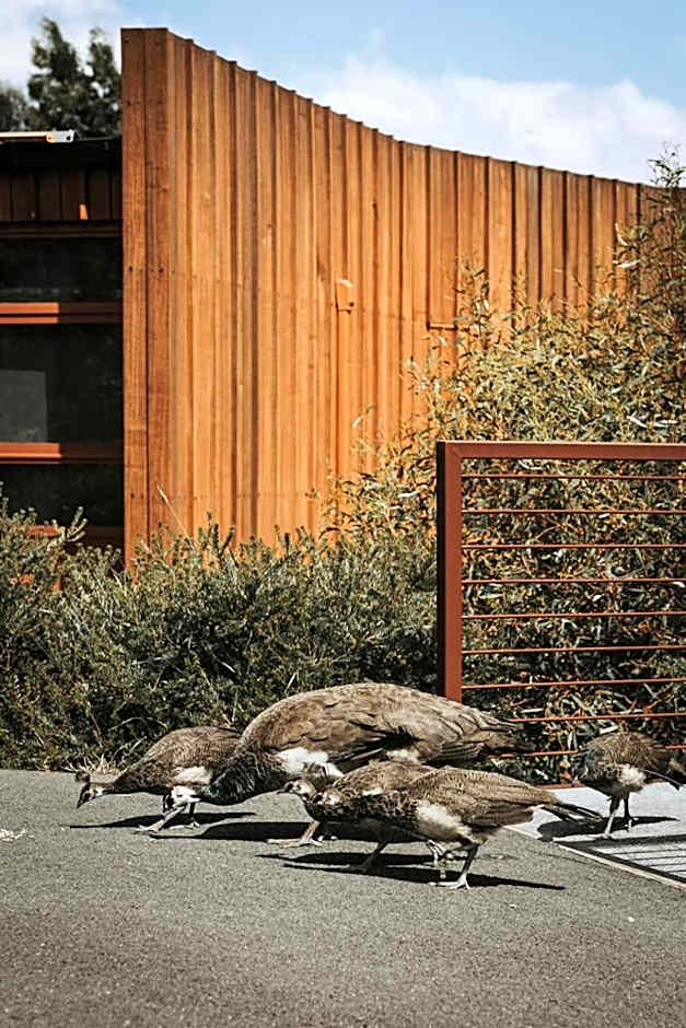 Iron Creek Bay Estate