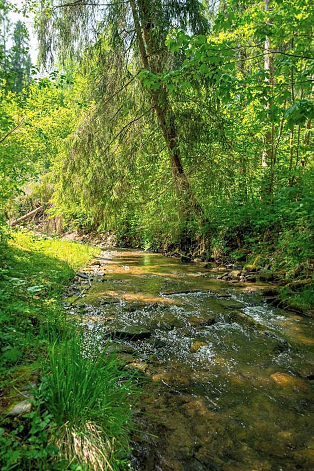 Dom Wypoczynkowy Elżbieta